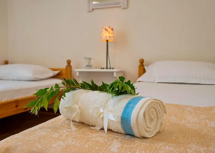 فيلة Agnis House